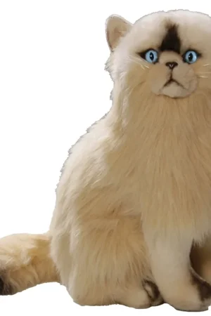 Carldick Perzische kat knuffel - pluche - 35 cm Uitverkoop