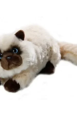 Pluche Perzische Colourpoint knuffel - wit - 30 cm Op = Op