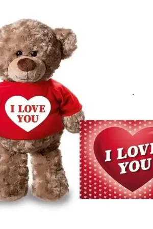 Actieprijs Teddybeer knuffel - pluche - 24 cm - met shirt - A5-kaart