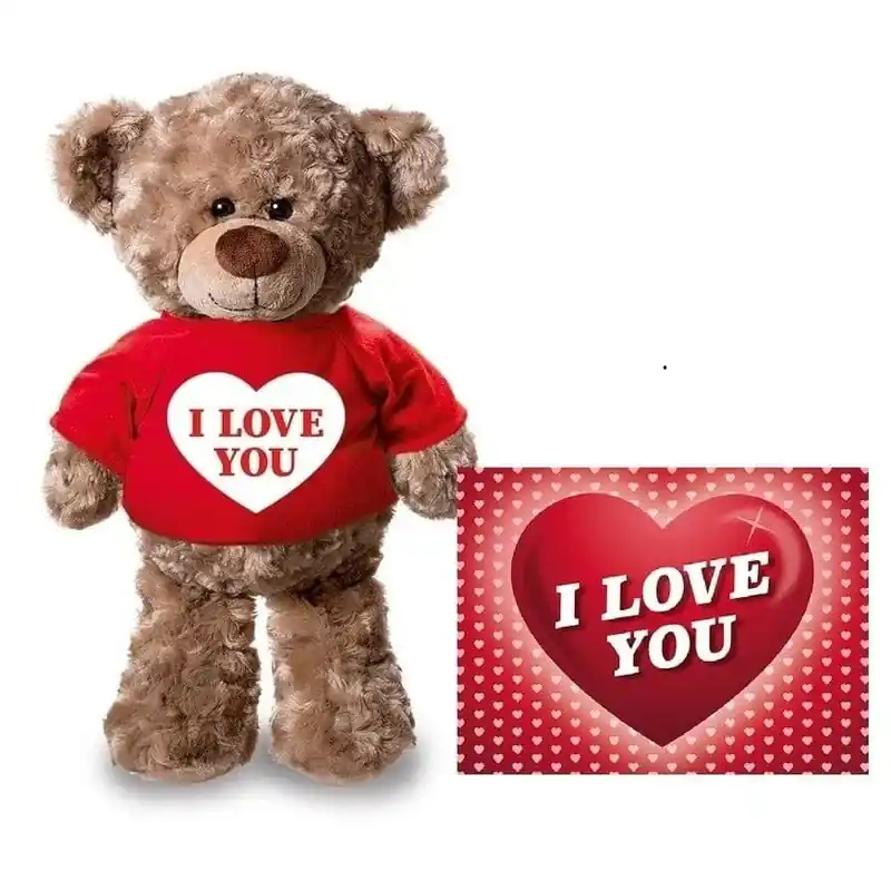 Actieprijs Teddybeer knuffel - pluche - 24 cm - met shirt - A5-kaart