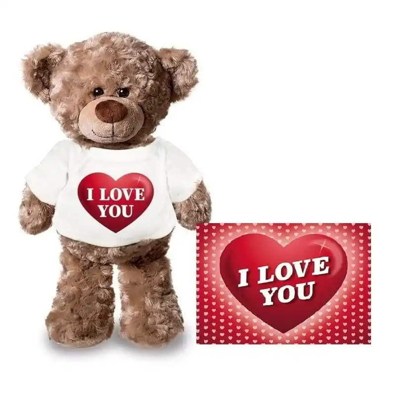 Rechtstreeks Van De Fabrikant Teddybeer knuffel - pluche - 24 cm - I Love You - met shirt