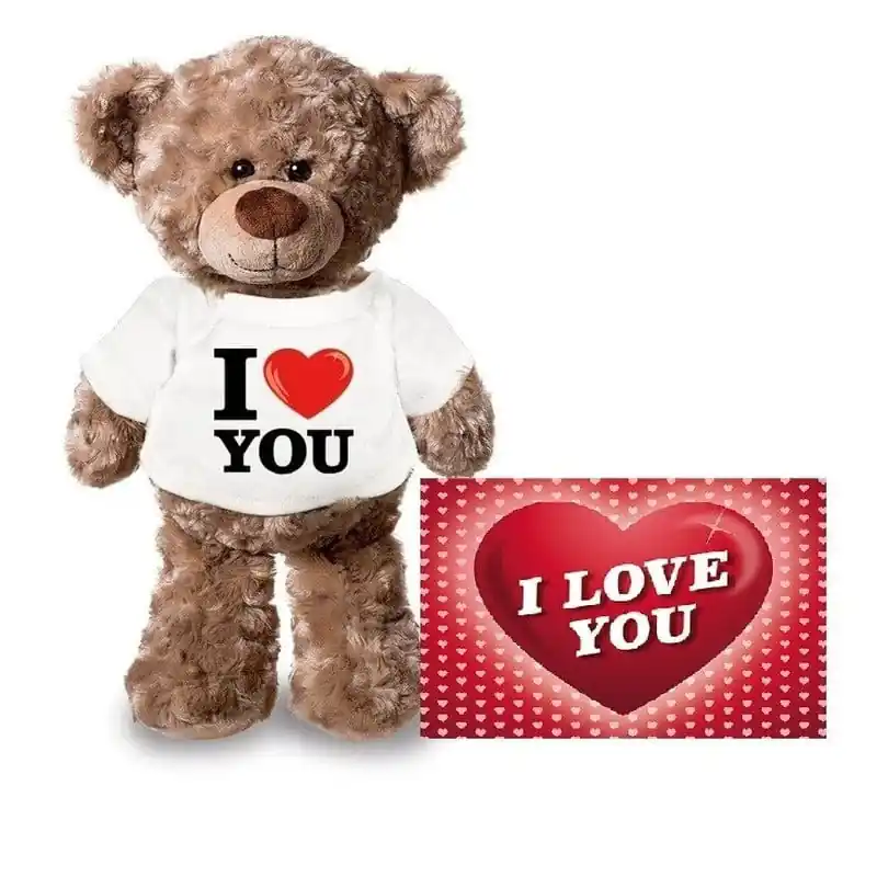 Uitverkoop Teddybeer knuffel - pluche - 24 cm - met shirt - A5-kaart