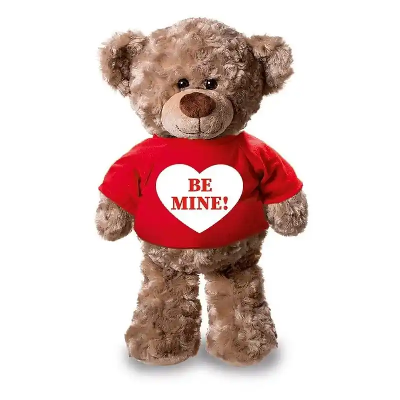 Gecertificeerd Be Mine teddybeer knuffel - pluche - 24 cm - met shirt