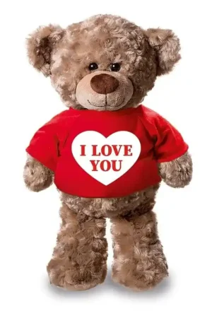 Bestel Nu Teddybeer knuffel met hartje - pluche - 24 cm - shirt