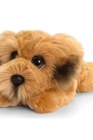 Shop Nu Keel Toys Ierse terrier knuffel - pluche - 25 cm
