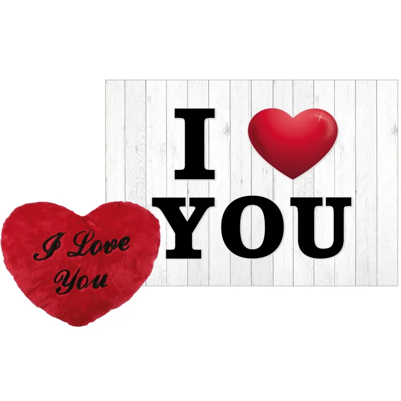 Koop Online Pluche knuffelkussen rood - I Love You - 35 cm - cadeau