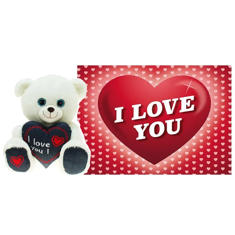 Valentijn knuffelbeer - pluche - 25 cm - met wenskaart Actieprijs