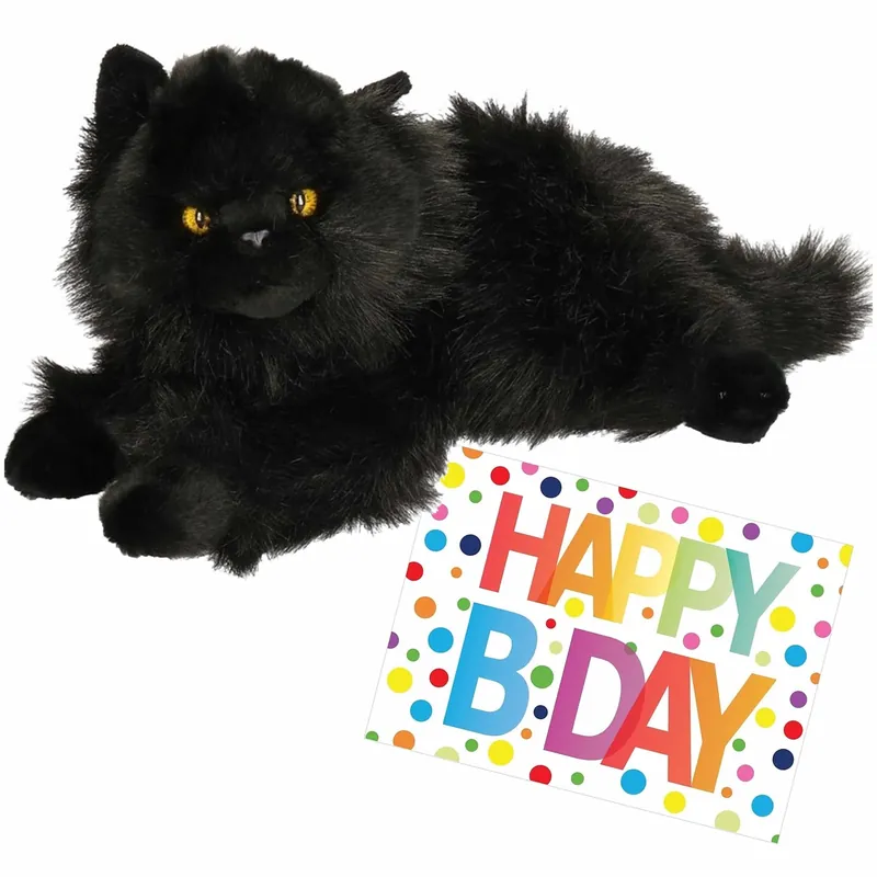 Pluche kat knuffel - zwart - 30 cm - met verjaardagskaart Fabrieksprijs