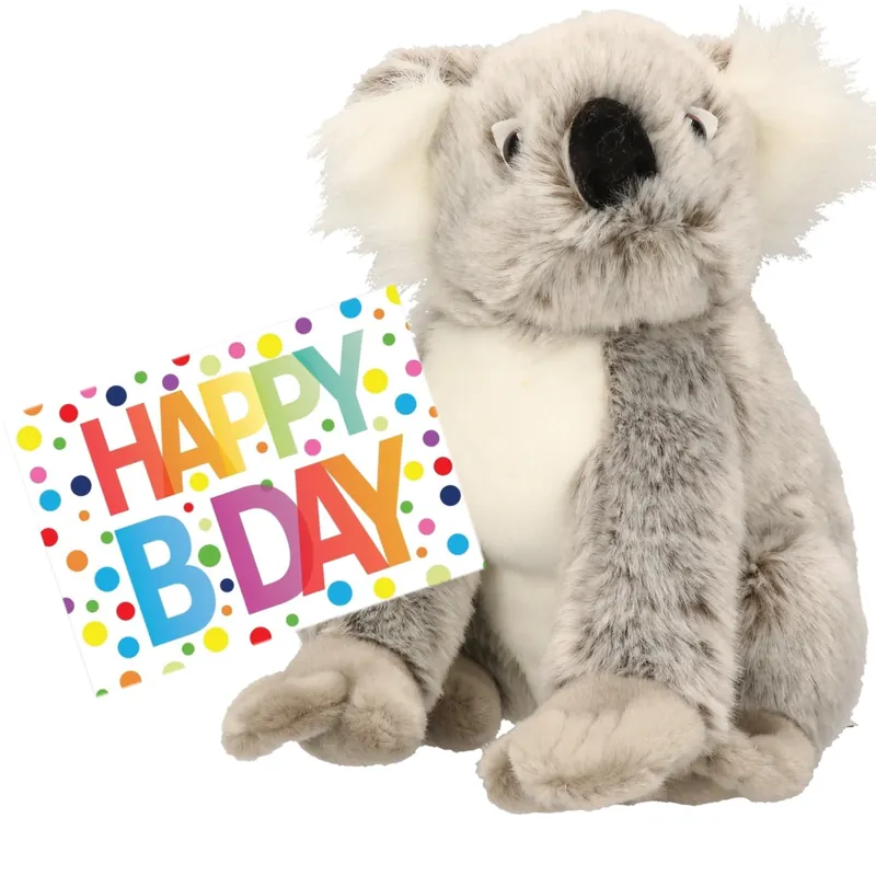 Koala beer knuffel - pluche - 25 cm - met verjaardagskaart Hete Deal