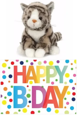 Uitverkoop Grijze kat knuffel - pluche - 16 cm - Happy Birthday set