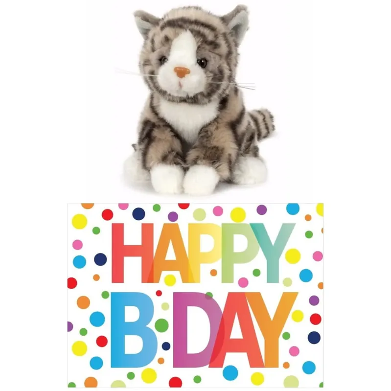 Uitverkoop Grijze kat knuffel - pluche - 16 cm - Happy Birthday set