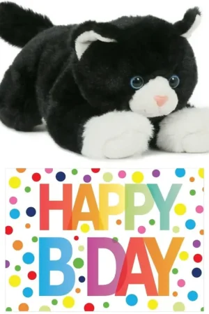 Alleen Vandaag Pluche zwart/witte kat knuffel - 25 cm - cadeau setje - Happy Birthday