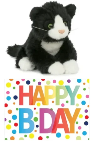Direct Beschikbaar Zwart-witte kat knuffel - pluche - 18 cm - Happy Birthday
