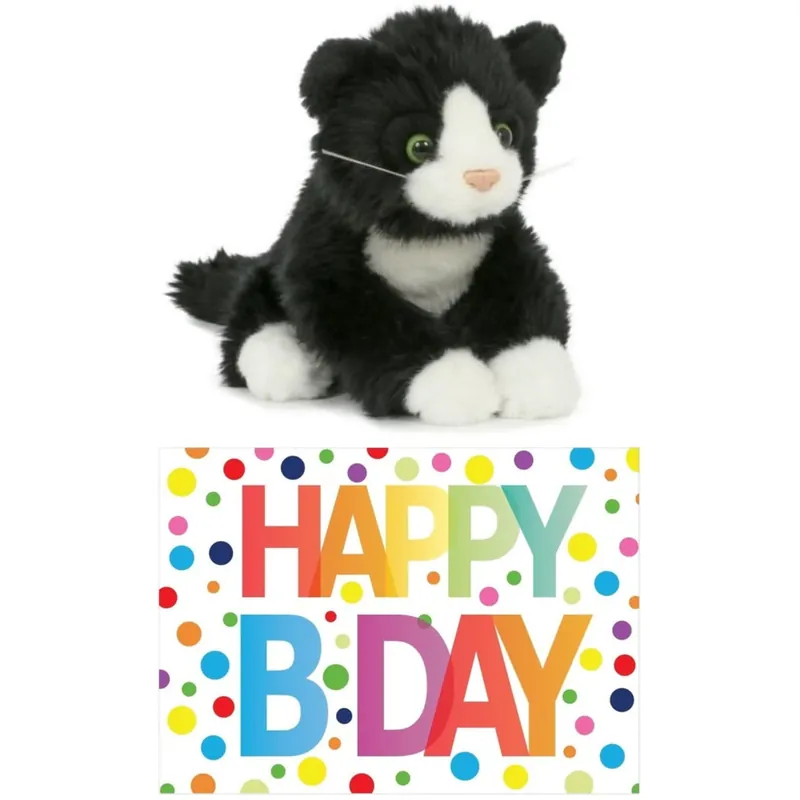 Direct Beschikbaar Zwart-witte kat knuffel - pluche - 18 cm - Happy Birthday