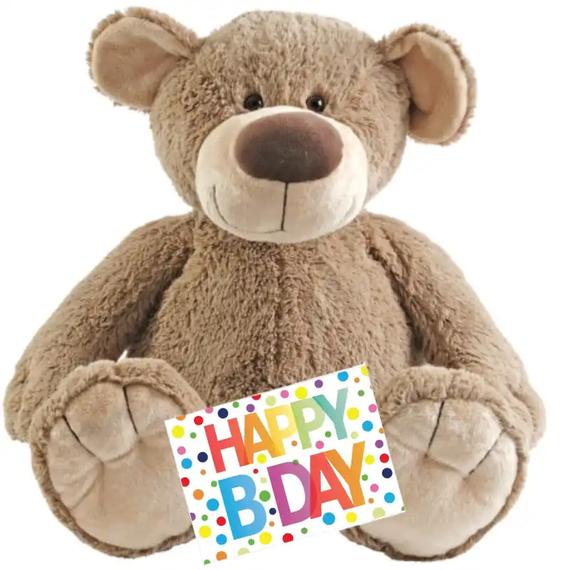 Happy Horse knuffelbeer - pluche - 70 cm - met kaart Dagaanbieding