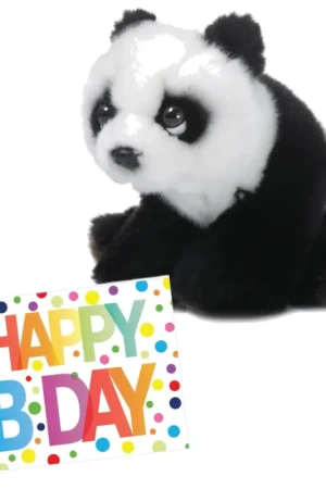 Weekendaanbieding Pluche panda knuffel - 15 cm - met verjaardagskaart