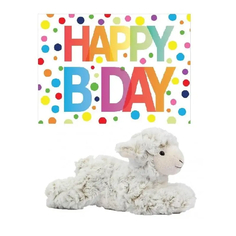 Pluche lammetje knuffel - 22 cm - met verjaardagskaart Gereduceerde Prijs