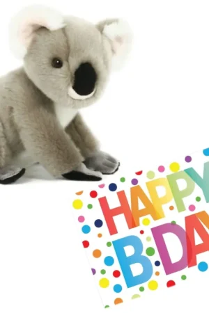 Bestel Nu Koala knuffel - pluche - 20 cm - met verjaardagskaart