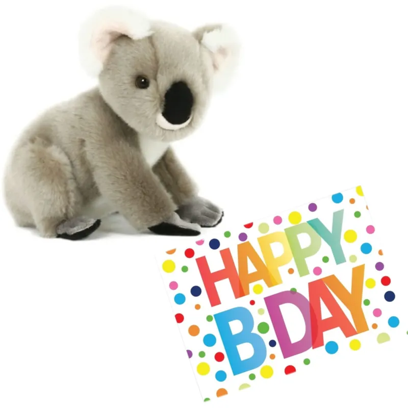 Bestel Nu Koala knuffel - pluche - 20 cm - met verjaardagskaart