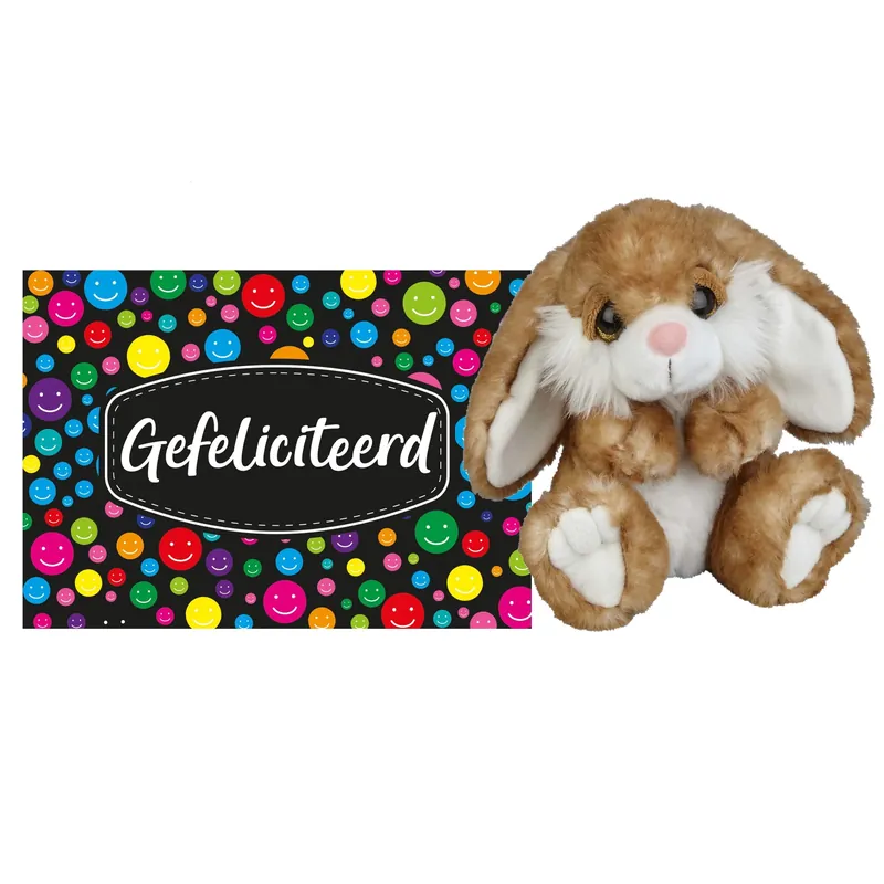Gecertificeerd Konijn knuffel 18 cm - pluche - cadeau - Gefeliciteerd kaart