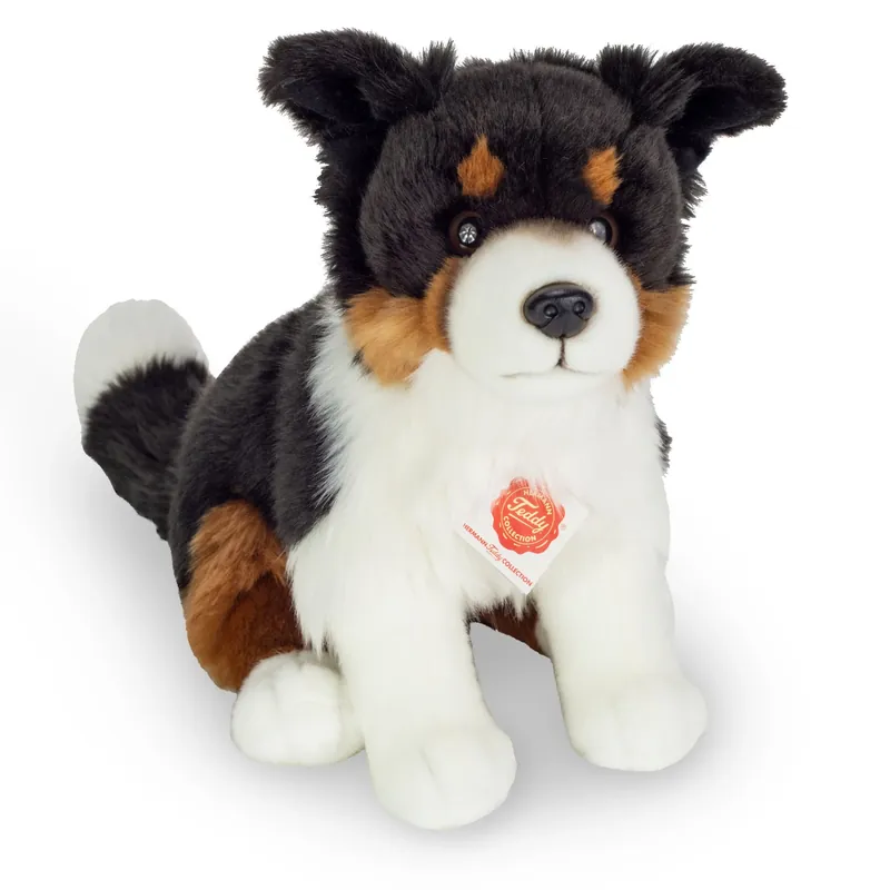 Gereduceerde Prijs Border Collie knuffel - pluche - 30 cm - hond - zwart/wit/bruin