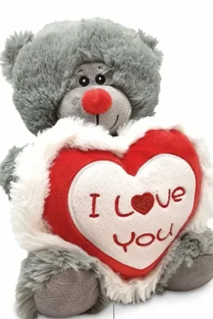 Grijze teddybeer - pluche - I Love You hartje - 30 cm Lage Kosten