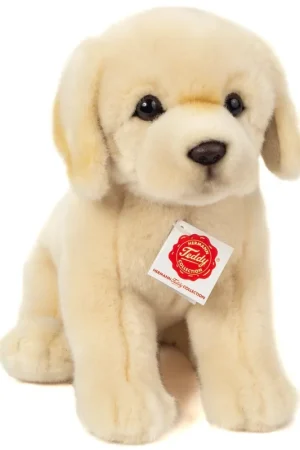 Golden Retriever knuffel - pluche - 25 cm - hondenknuffel Beste Prijs