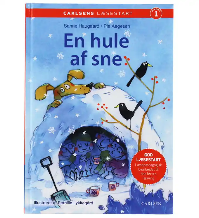 Meest Verkocht Forlaget Carlsen Boek - Een sneeuwgrot