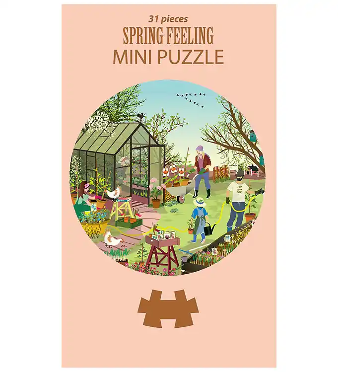 Vissevasse Puzzel - Mini - 31 Bakstenen - 11 cm - Spring Gevoel Weekendaanbieding