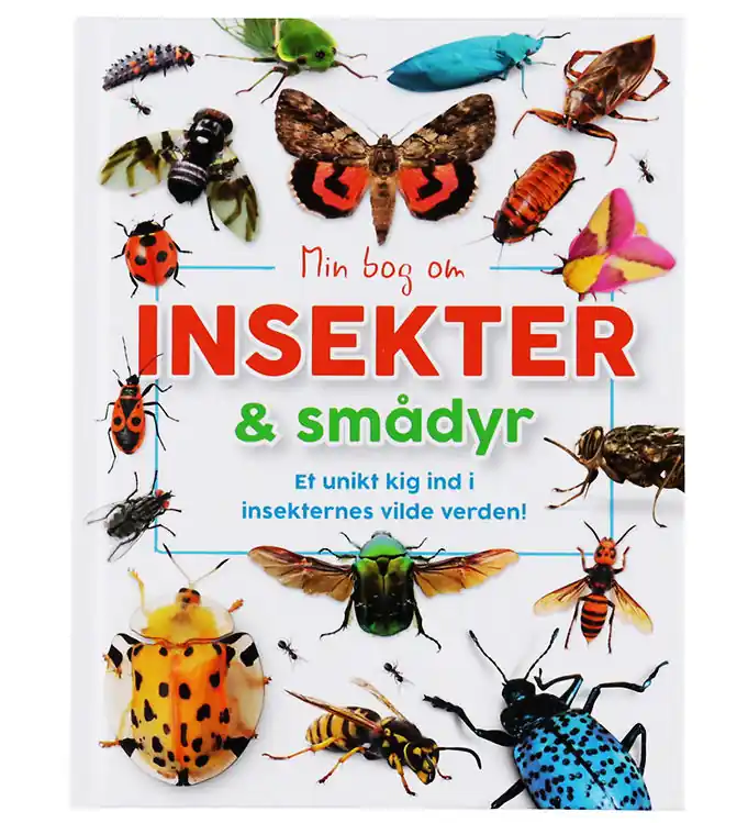 Forlaget Bolden Boek - Mijn Boek Over insecten en kleine dieren Finale Uitverkoop