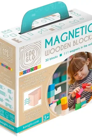 Kooglo Magnetisch Bouwblokken - Hout - 30 st. - Mini Colour Gecertificeerd