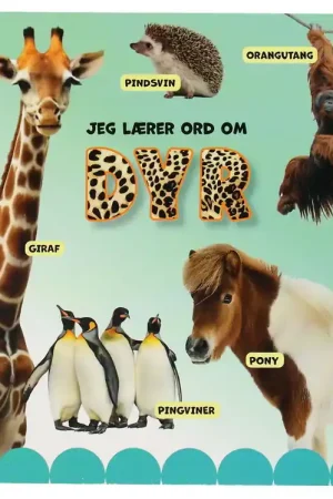 Uitverkoop Forlaget Tukan Prentenboek - Ik leer woorden over dieren - EN
