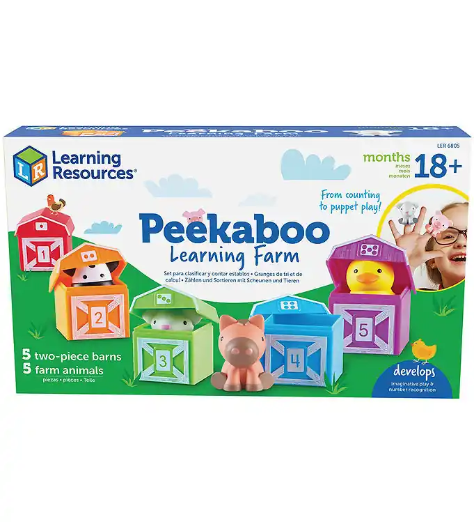 Betaalbaar Learning Resources Activiteitenspeelgoed - Leer over Nummers en