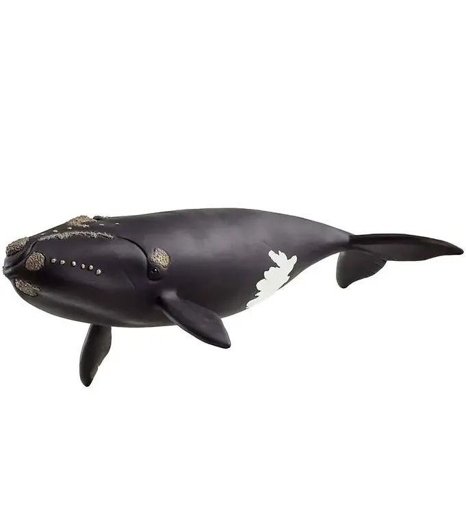 Direct Beschikbaar Schleich Wild Life - Noordkaper - 19,5 cm - 14878
