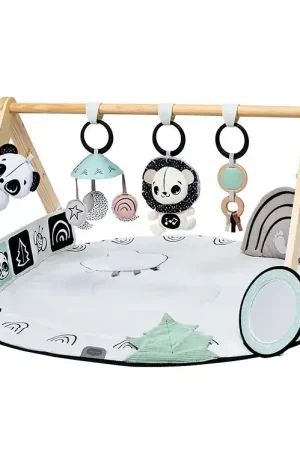 Koopje Tiny Love Speelboog - Luxe Gymini - Zwart/Wit