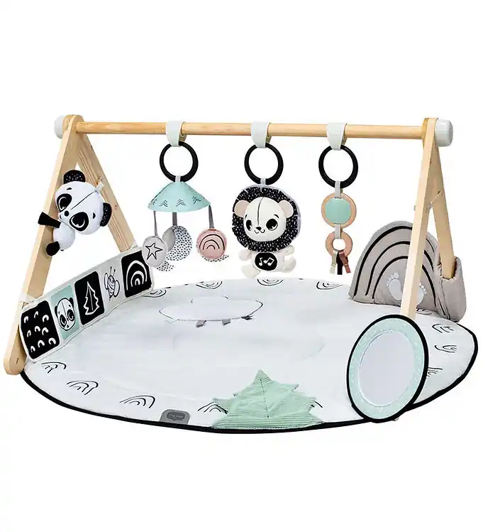 Koopje Tiny Love Speelboog - Luxe Gymini - Zwart/Wit