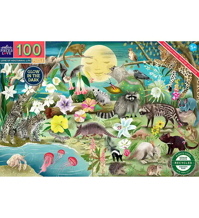 Favoriet Eeboo Puzzel - 100 Bakstenen - Lichtgevend Nachtelijk