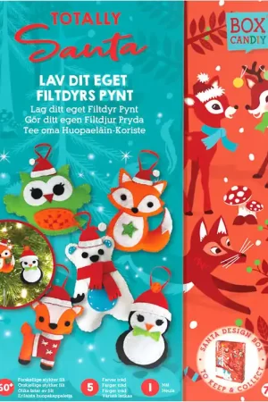 Premium Box Candiy Creatieve Speelset - Vilten dierenornament - Totally