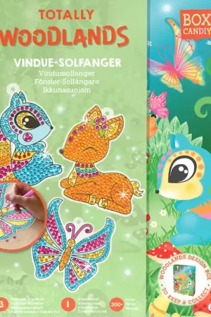 Box Candiy Creatieve Speelset - Raamzonnecollectoren - Totally W Express Levering