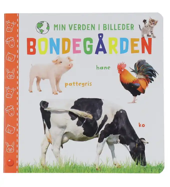 Superprijs Forlaget Bolden Prentenboek - Mijn wereld in Afbeeldingen - De b