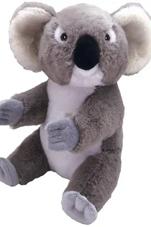 Wild Republic Knuffel - Ecokins - 16x26 - Koala Nu Kopen