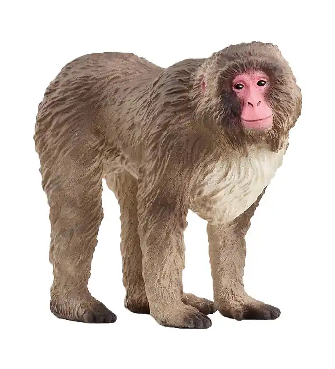 Schleich Wild Life - Japanse Makaak-Aapje - H: 6,9 cm - 14871 Betaalbaar