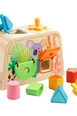Voordeelprijs Djeco Vormenstoof - Hout - Multi Boita