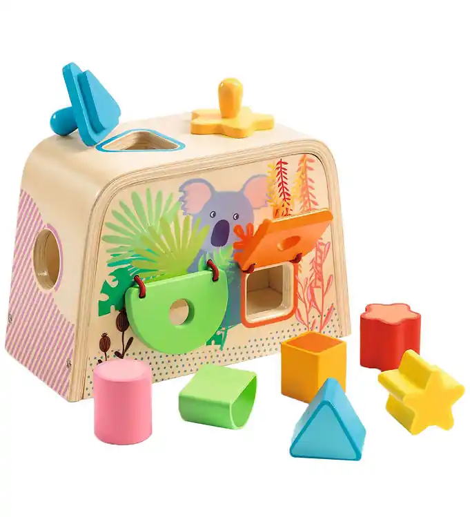 Voordeelprijs Djeco Vormenstoof - Hout - Multi Boita
