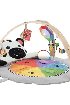 Direct Beschikbaar Baby Einstein Speelkleed - Zen's activiteitsmijlpalen