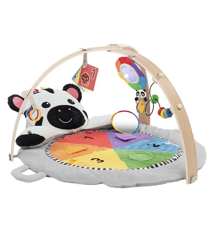 Direct Beschikbaar Baby Einstein Speelkleed - Zen's activiteitsmijlpalen