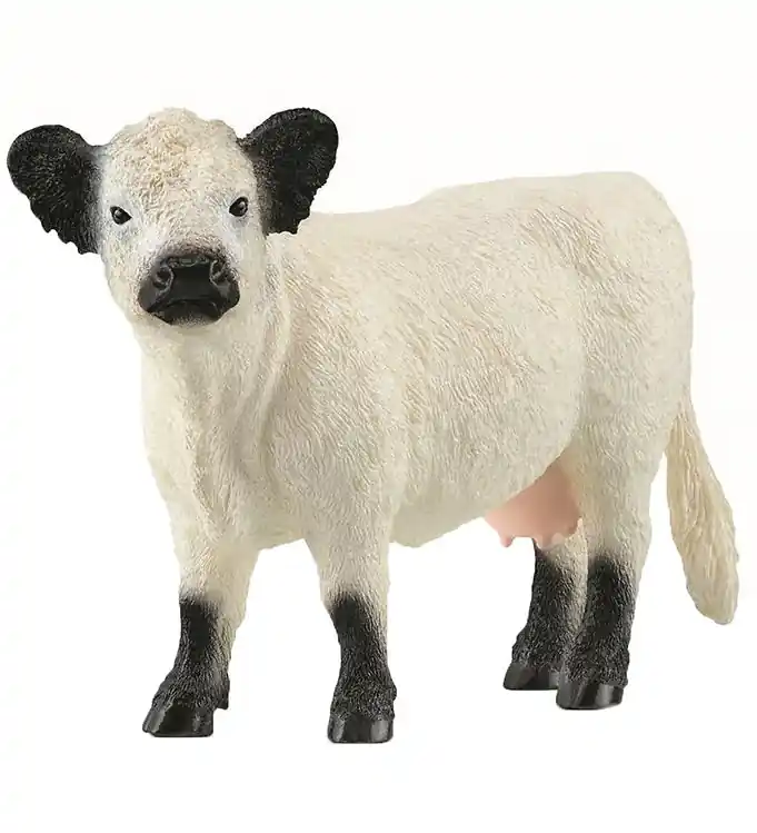 Beperkt Aanbod Schleich Farm World - Galloway Koets - H: 9 cm - 13960