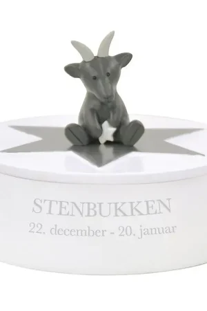 Premium Kids by Friis Sieradendoos - Steenbok