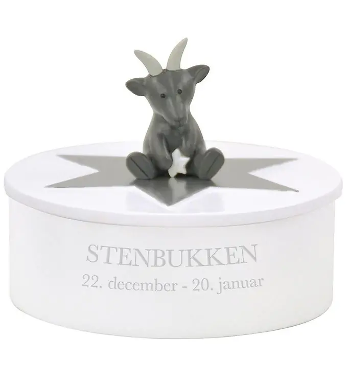 Premium Kids by Friis Sieradendoos - Steenbok