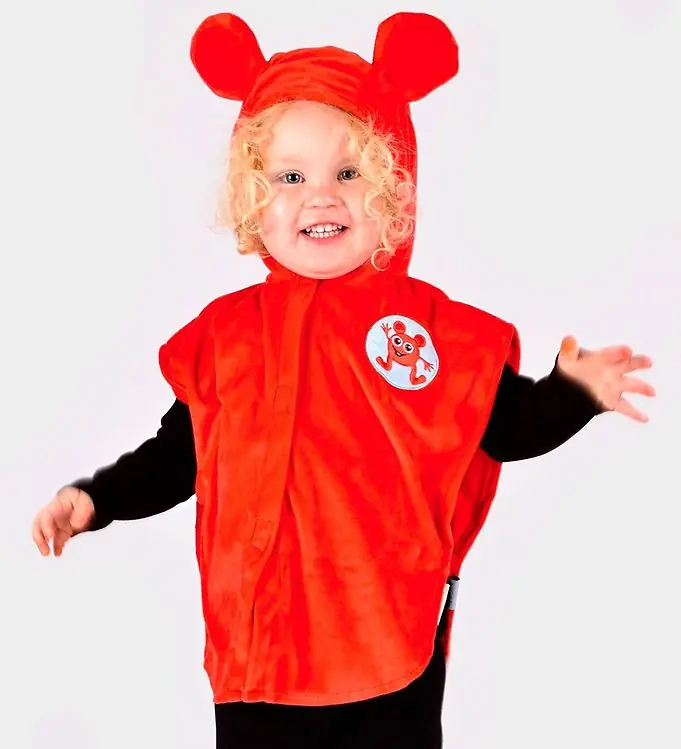 Bestel Nu Den Goda Fen Kostuum - Babblarna Bobbo - Rood